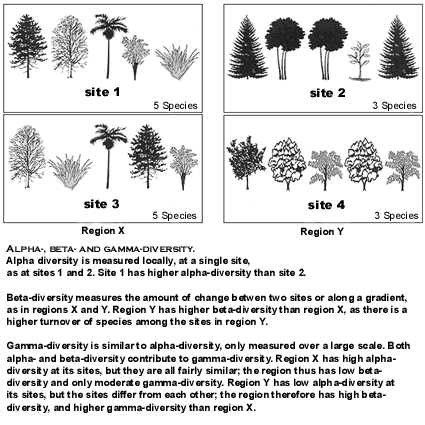alpha, beta, gamma diversity.gif