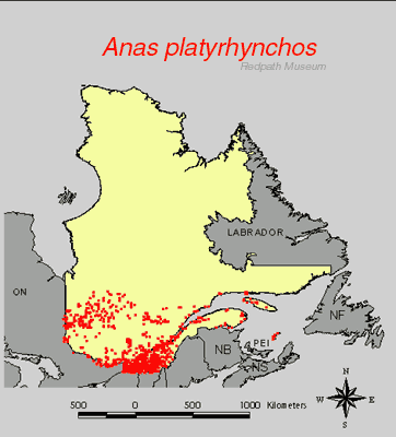 distribution map.jpg