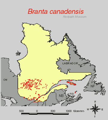 distribution map.jpg