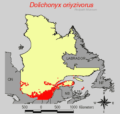 distribution map.jpg