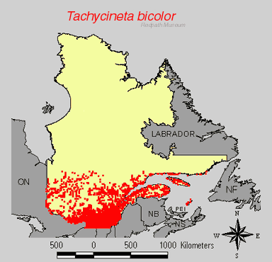 distribution map.jpg