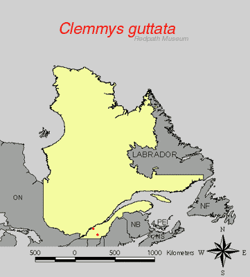 distribution map.gif