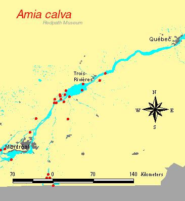 distribution map.gif
