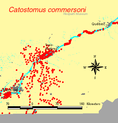 distribution map.gif