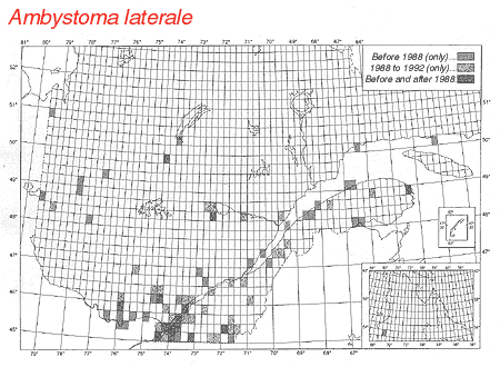 distribution map.gif