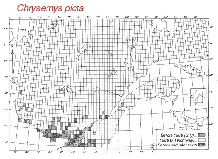 distribution map.gif