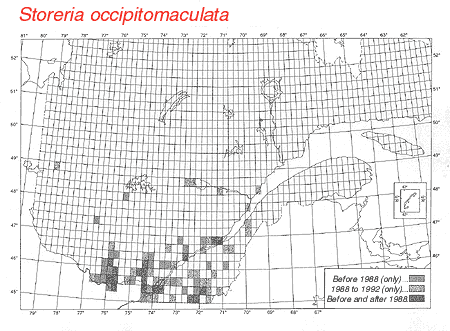 distribution map.gif