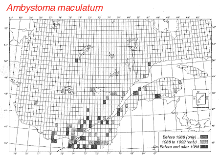 distribution map.gif