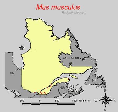 distribution map.gif