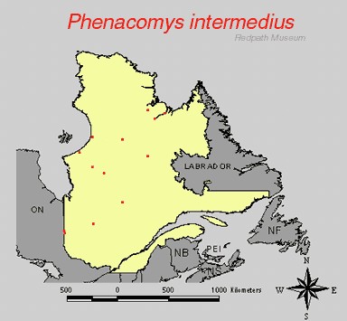 distribution map.gif